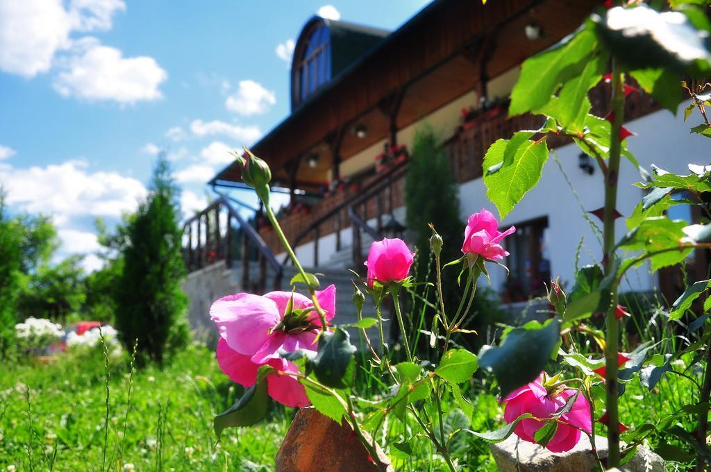 Conacul Domnitei Hotel Voroneţ Exterior foto